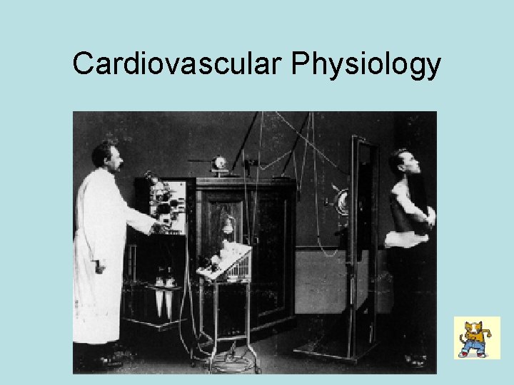 Cardiovascular Physiology 