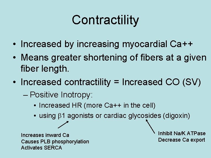 Contractility • Increased by increasing myocardial Ca++ • Means greater shortening of fibers at