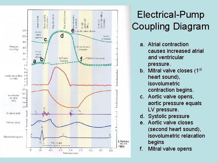 c a b d Electrical-Pump Coupling Diagram e f a. Atrial contraction causes increased