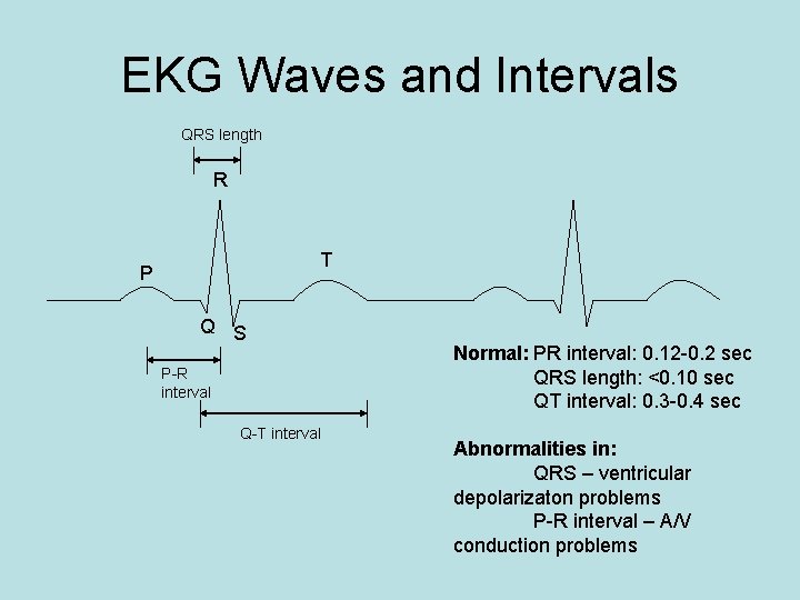 EKG Waves and Intervals QRS length R T P Q S P-R interval Q-T