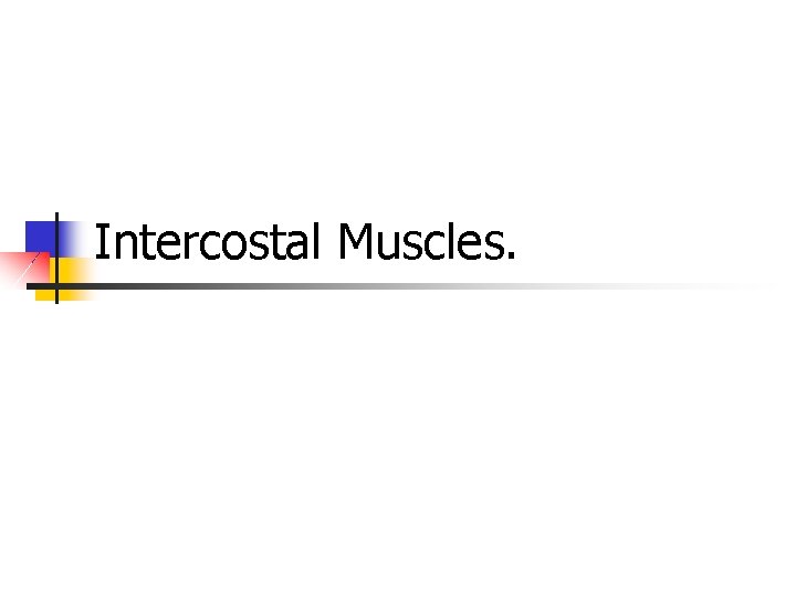 Intercostal Muscles. 