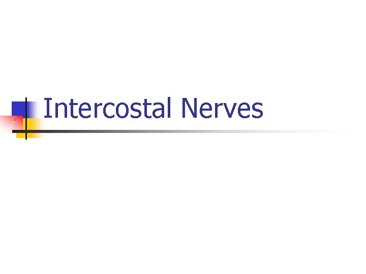 Intercostal Nerves 