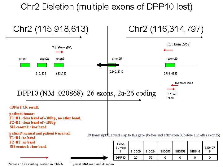 Chr 2 Deletion (multiple exons of DPP 10 lost) Chr 2 (115, 918, 613)