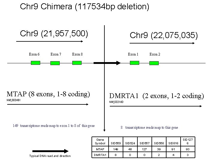 Chr 9 Chimera (117534 bp deletion) Chr 9 (21, 957, 500) Exon 6 Exon