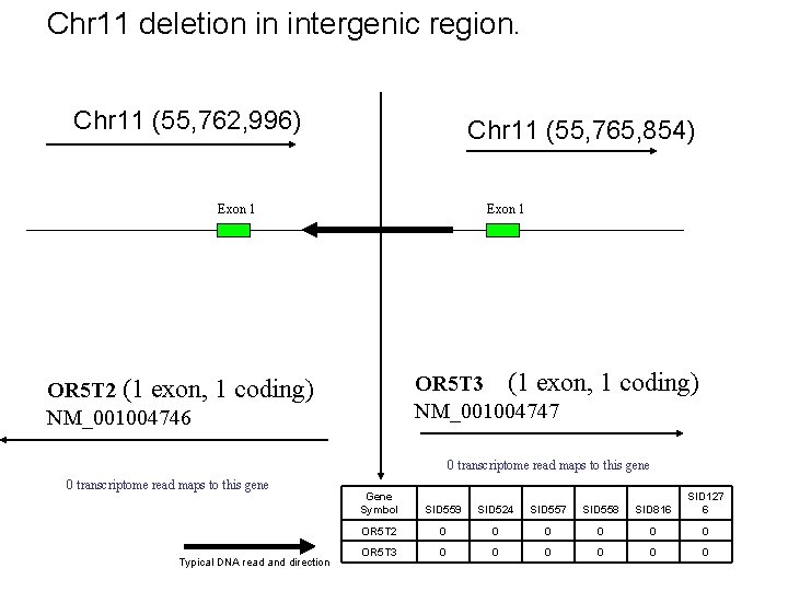 Chr 11 deletion in intergenic region. Chr 11 (55, 762, 996) Chr 11 (55,