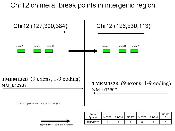 Chr 12 chimera, break points in intergenic region. Chr 12 (127, 300, 384) exon