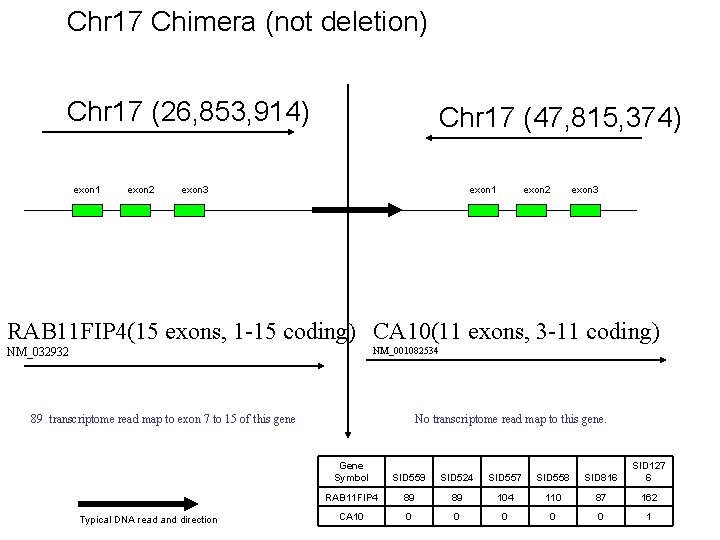 Chr 17 Chimera (not deletion) Chr 17 (26, 853, 914) exon 1 exon 2