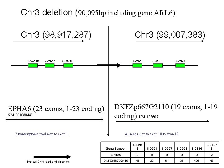 Chr 3 deletion (90, 095 bp including gene ARL 6) Chr 3 (98, 917,