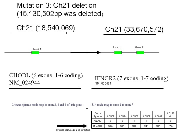 Mutation 3: Ch 21 deletion (15, 130, 502 bp was deleted) Ch 21 (18,