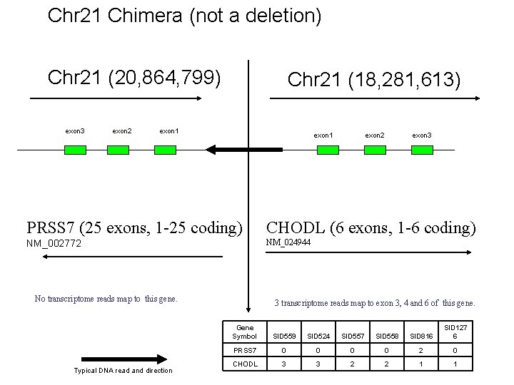 Chr 21 Chimera (not a deletion) Chr 21 (20, 864, 799) exon 3 exon