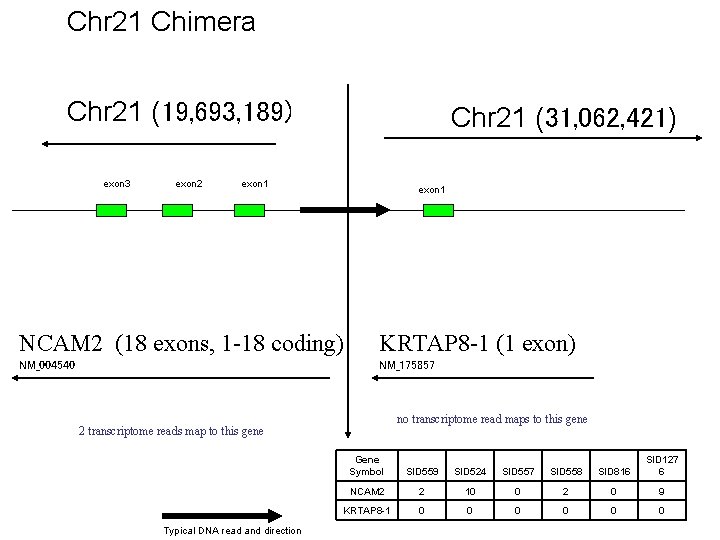 Chr 21 Chimera Chr 21 (19, 693, 189) exon 3 exon 2 Chr 21