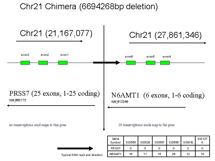 Chr 21 Chimera (6694268 bp deletion) Chr 21 (21, 167, 077) exon 3 exon