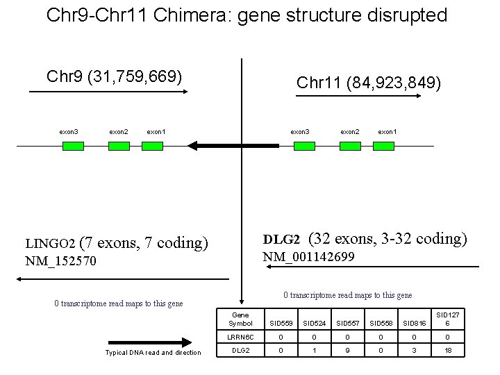 Chr 9 -Chr 11 Chimera: gene structure disrupted Chr 9 (31, 759, 669) exon