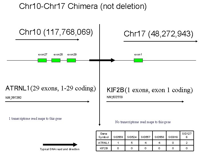 Chr 10 -Chr 17 Chimera (not deletion) Chr 10 (117, 768, 069) exon 27