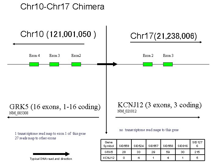 Chr 10 -Chr 17 Chimera Chr 10 (121, 001, 050 ) Exon 4 Exon