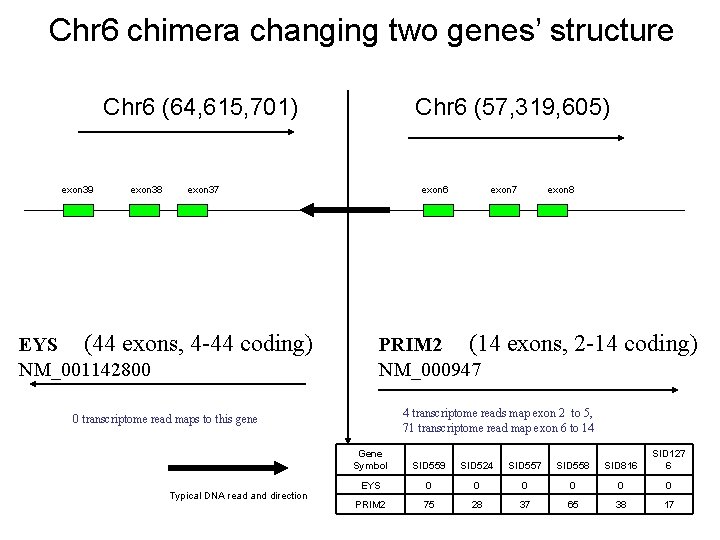 Chr 6 chimera changing two genes’ structure Chr 6 (64, 615, 701) exon 39