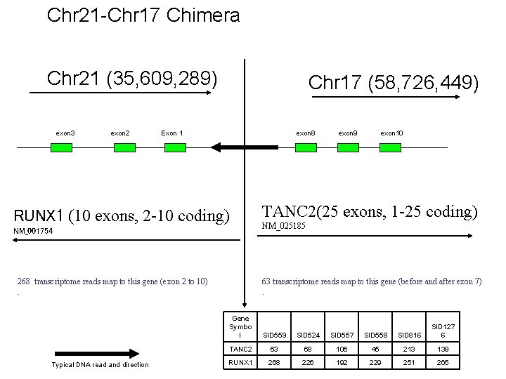 Chr 21 -Chr 17 Chimera Chr 21 (35, 609, 289) exon 3 exon 2