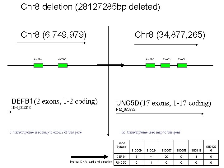 Chr 8 deletion (28127285 bp deleted) Chr 8 (6, 749, 979) exon 2 Chr