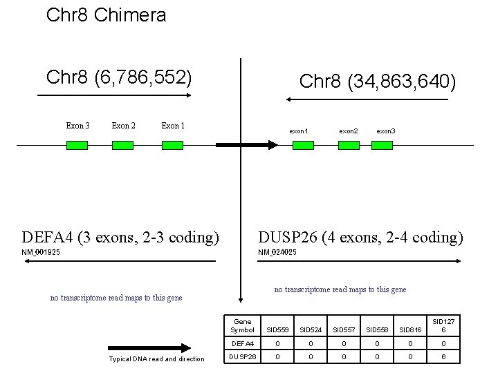 Chr 8 Chimera Chr 8 (6, 786, 552) Exon 3 Exon 2 Chr 8