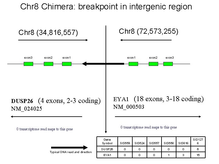 Chr 8 Chimera: breakpoint in intergenic region Chr 8 (72, 573, 255) Chr 8