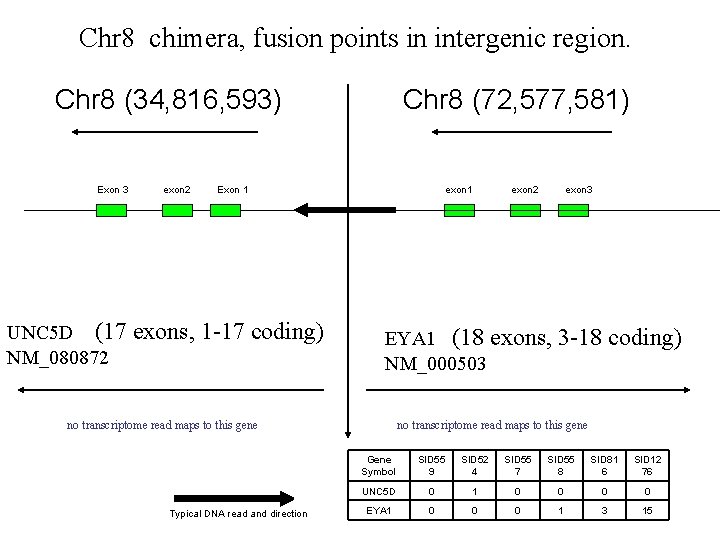 Chr 8 chimera, fusion points in intergenic region. Chr 8 (34, 816, 593) Exon