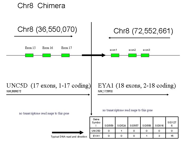 Chr 8 Chimera Chr 8 (36, 550, 070) Exon 15 Exon 16 Chr 8