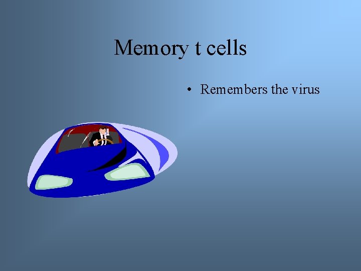 Memory t cells • Remembers the virus 