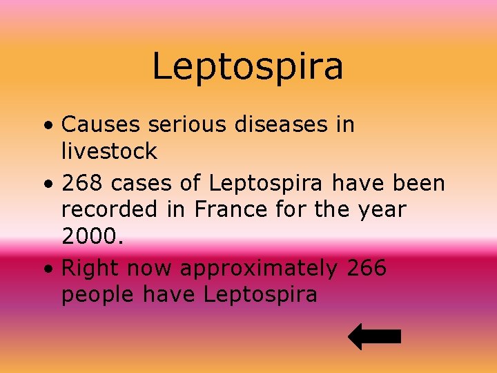 Leptospira • Causes serious diseases in livestock • 268 cases of Leptospira have been