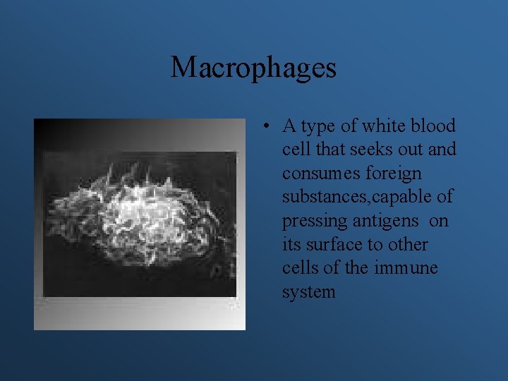 Macrophages • A type of white blood cell that seeks out and consumes foreign