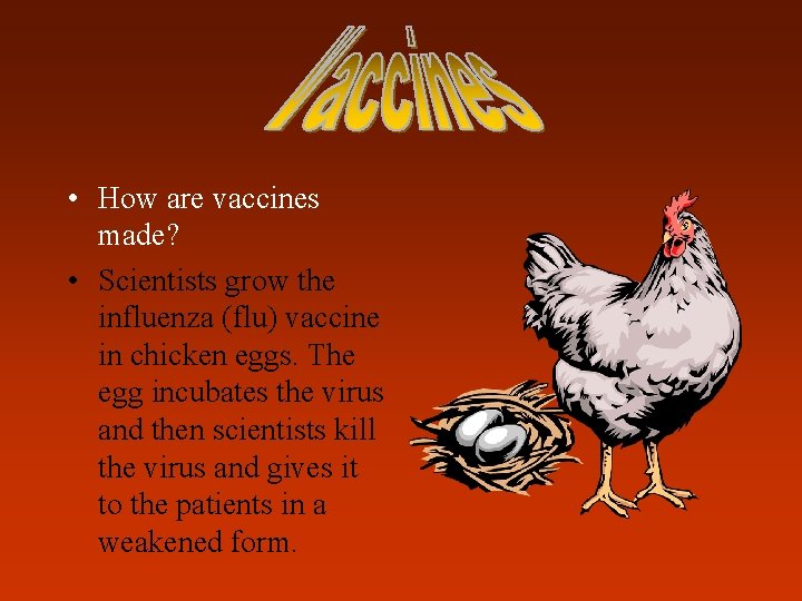  • How are vaccines made? • Scientists grow the influenza (flu) vaccine in