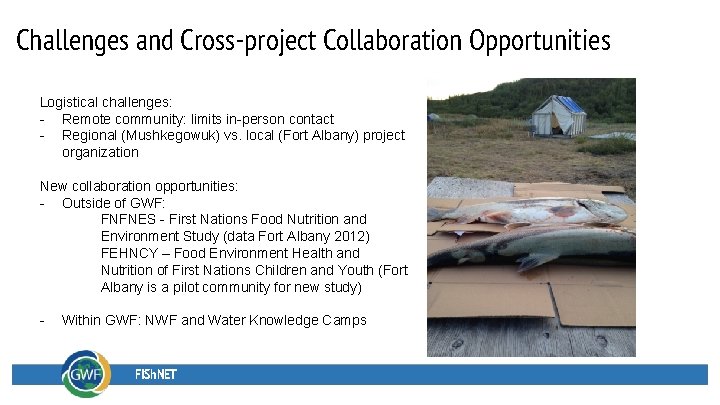 Challenges and Cross-project Collaboration Opportunities Logistical challenges: - Remote community: limits in-person contact -