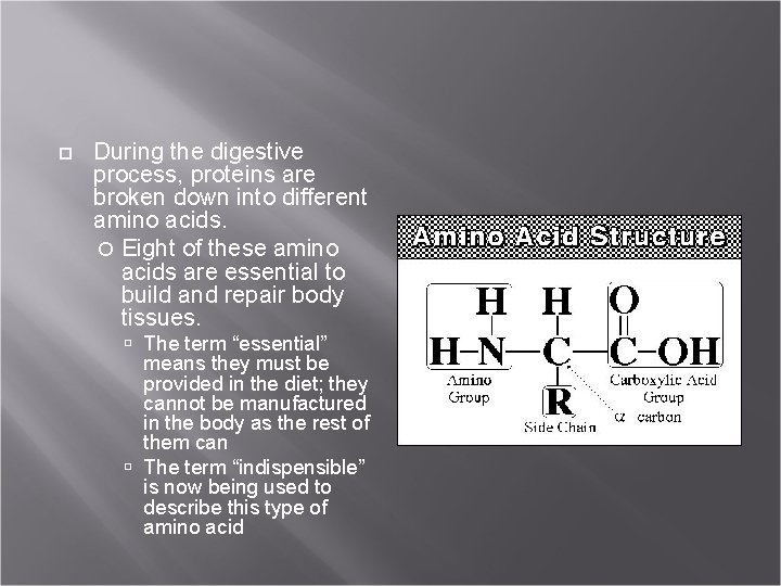  During the digestive process, proteins are broken down into different amino acids. Eight