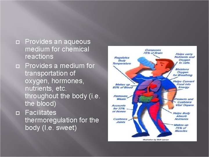  Provides an aqueous medium for chemical reactions Provides a medium for transportation of