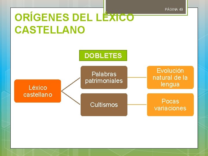 PÁGINA 49 ORÍGENES DEL LÉXICO CASTELLANO DOBLETES Léxico castellano Palabras patrimoniales Evolución natural de