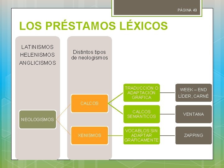 PÁGINA 49 LOS PRÉSTAMOS LÉXICOS LATINISMOS HELENISMOS ANGLICISMOS Distintos tipos de neologismos TRADUCCIÓN O