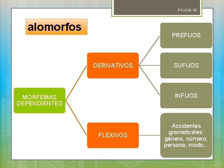 PÁGINA 46 alomorfos PREFIJOS DERIVATIVOS SUFIJOS INFIJOS MORFEMAS DEPENDIENTES FLEXIVOS Accidentes gramaticales: género, número,