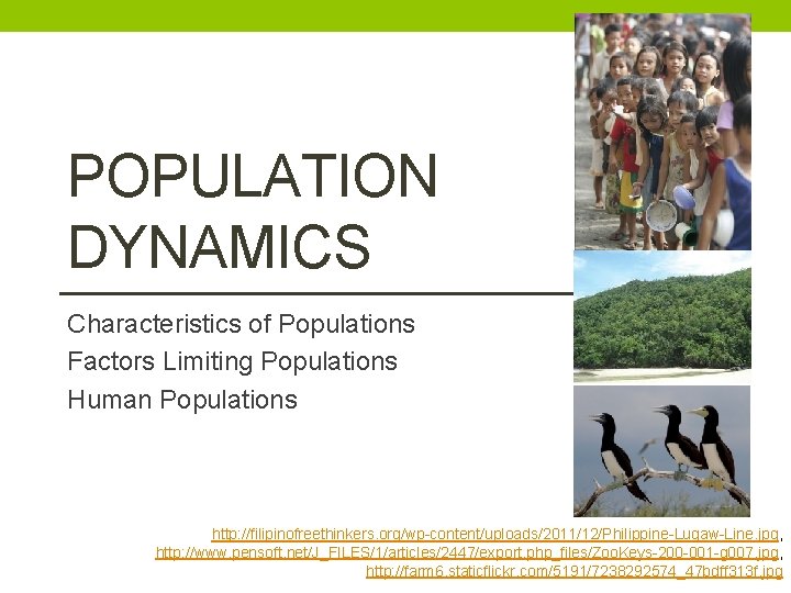 POPULATION DYNAMICS Characteristics of Populations Factors Limiting Populations Human Populations http: //filipinofreethinkers. org/wp-content/uploads/2011/12/Philippine-Lugaw-Line. jpg,