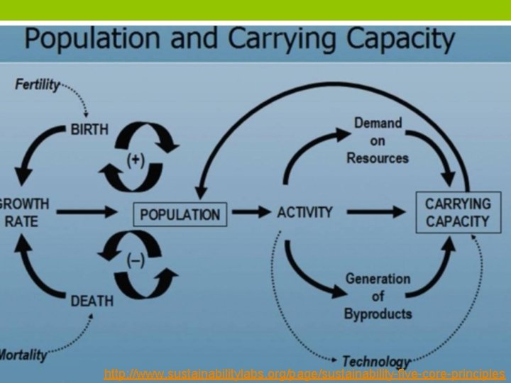 http: //www. sustainabilitylabs. org/page/sustainability-five-core-principles 