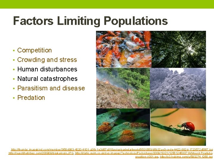 Factors Limiting Populations • Competition • Crowding and stress • Human disturbances • Natural