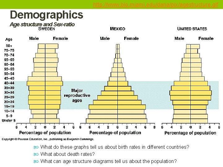 http: //www. bio. miami. edu/dana/pix/agestructure. gif Demographics Age structure and Sex-ratio What do these