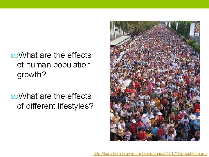  What are the effects of human population growth? What are the effects of