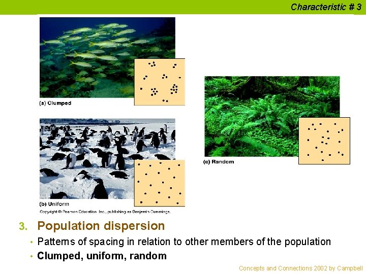 Characteristic # 3 3. Population dispersion • Patterns of spacing in relation to other