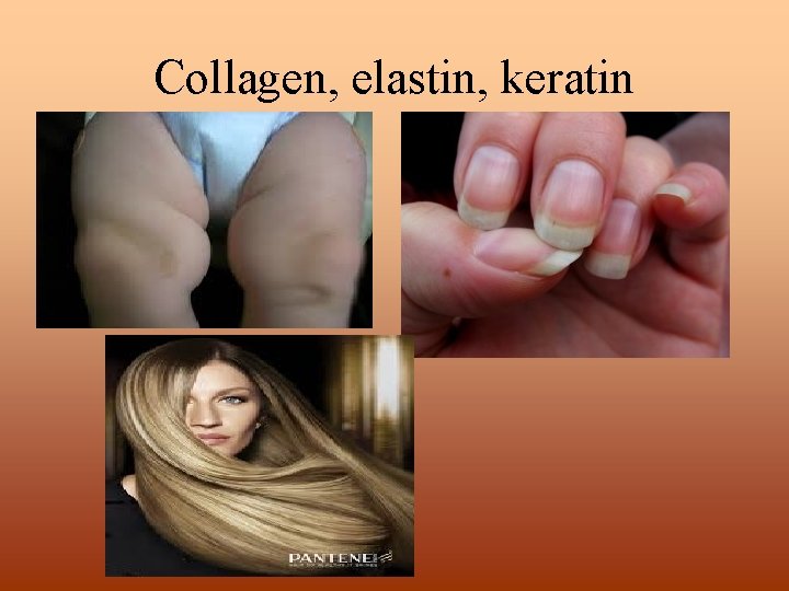 Collagen, elastin, keratin 