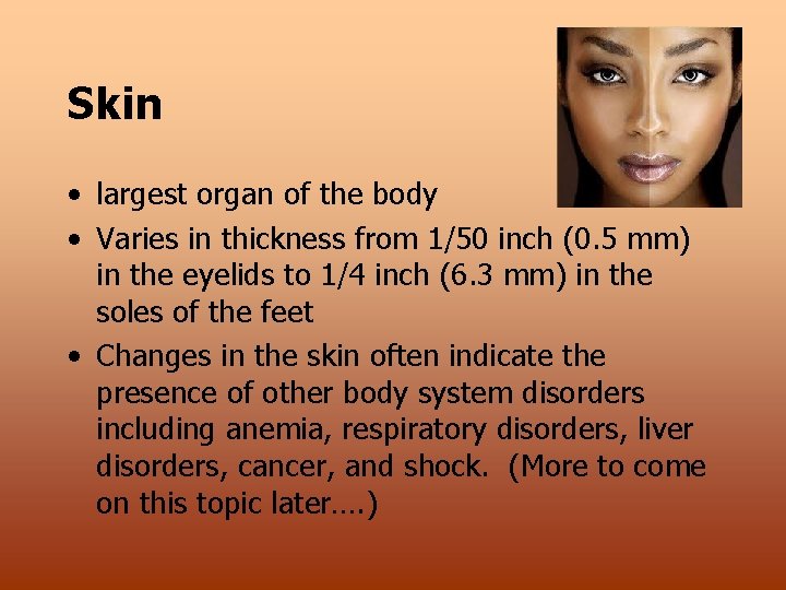 Skin • largest organ of the body • Varies in thickness from 1/50 inch