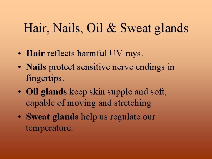 Hair, Nails, Oil & Sweat glands • Hair reflects harmful UV rays. • Nails