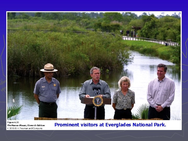 Prominent visitors at Everglades National Park. 