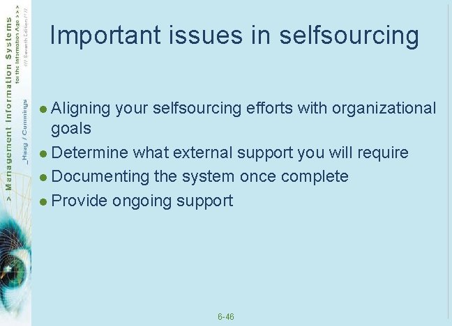 Important issues in selfsourcing l Aligning your selfsourcing efforts with organizational goals l Determine Important issues in selfsourcing l Aligning your selfsourcing efforts with organizational goals l Determine