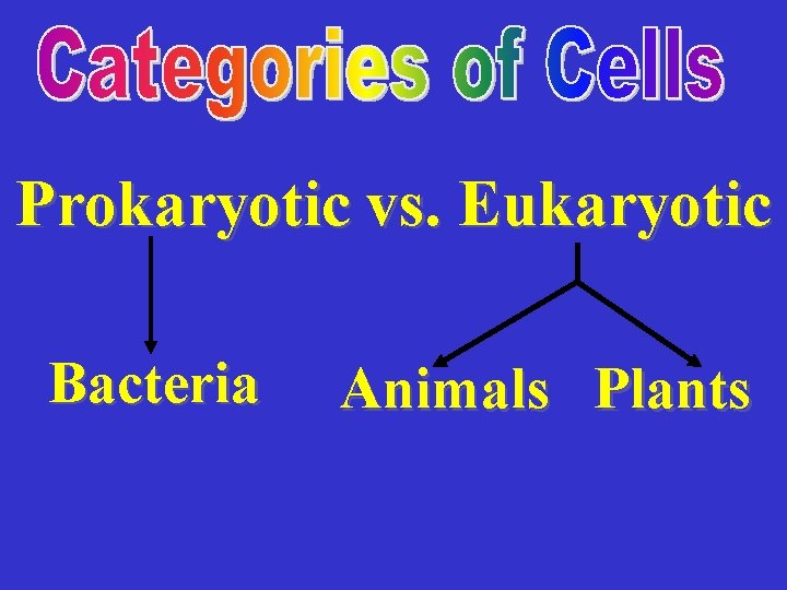 Prokaryotic vs. Eukaryotic Bacteria Animals Plants 