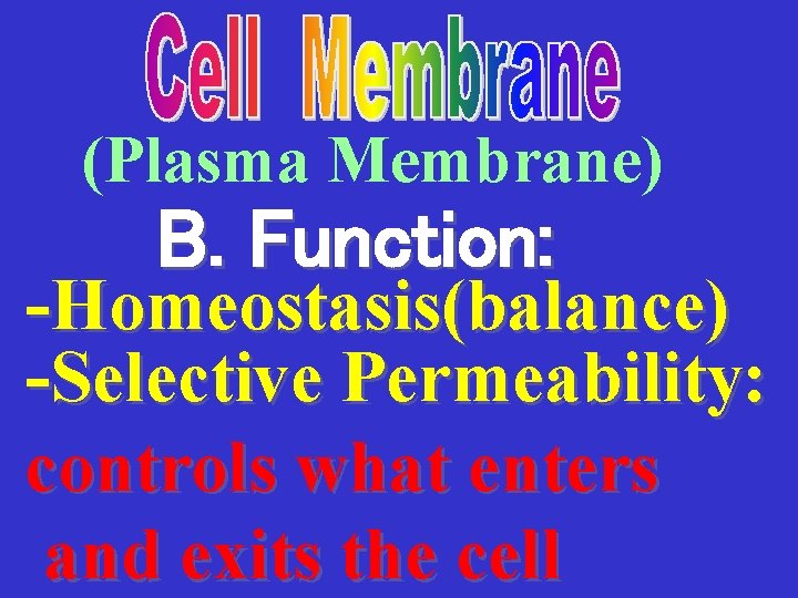 (Plasma Membrane) B. Function: -Homeostasis(balance) -Selective Permeability: controls what enters and exits the cell