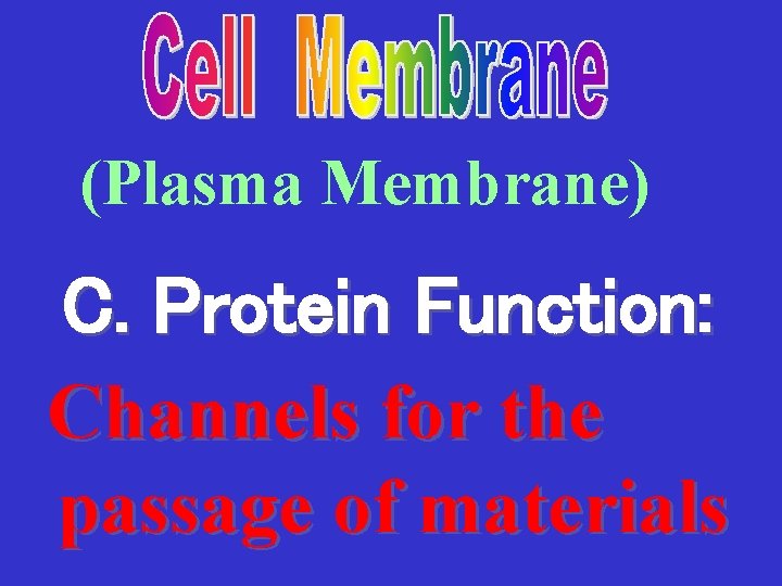 (Plasma Membrane) C. Protein Function: Channels for the passage of materials 